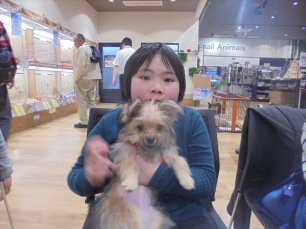 写真