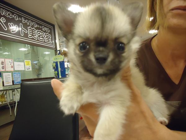 写真