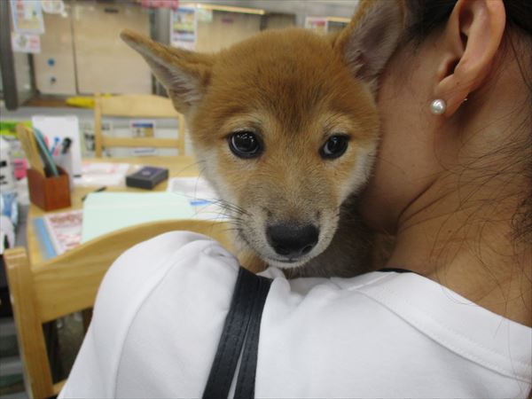 写真