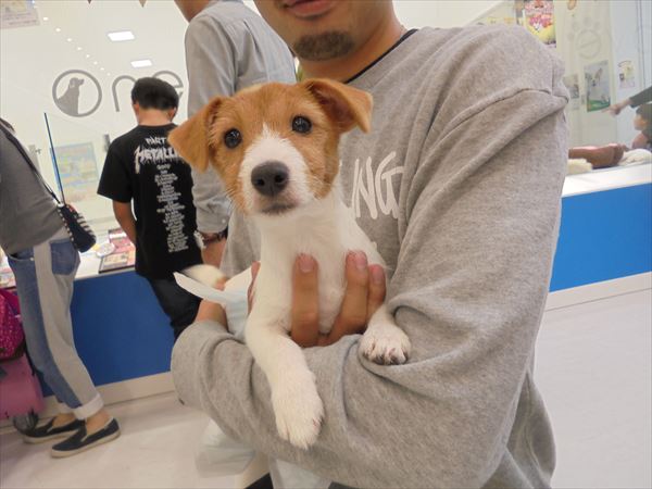 写真