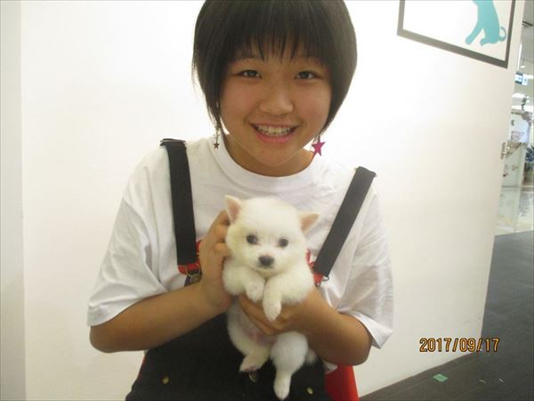 写真