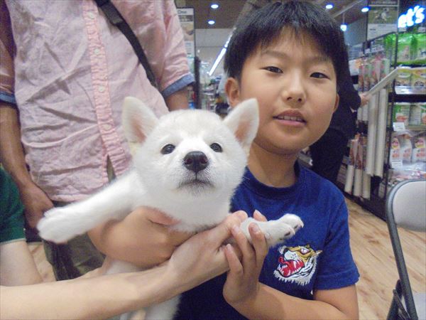 写真