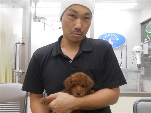 写真