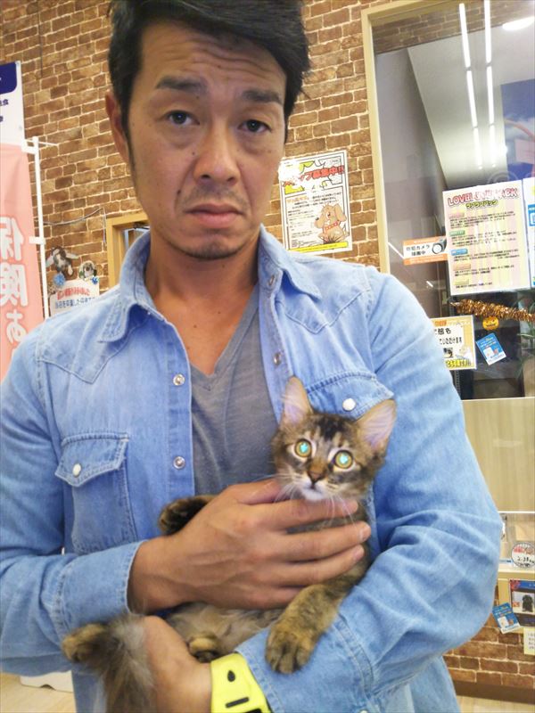 写真