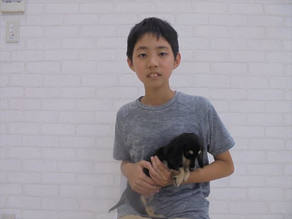 写真