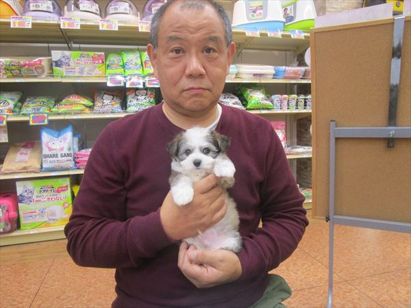 写真