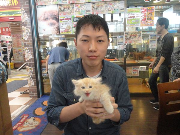 写真