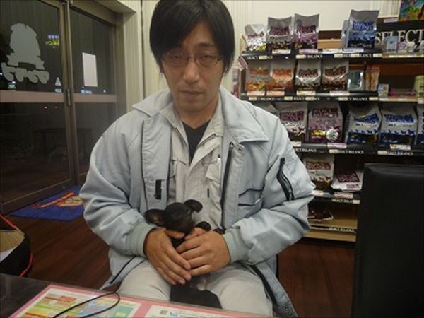 写真