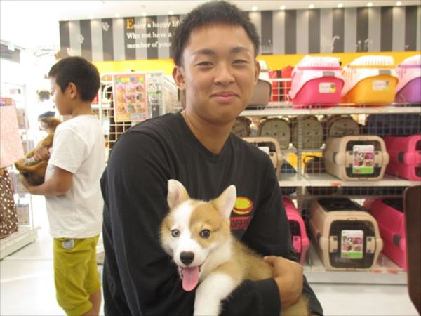 写真