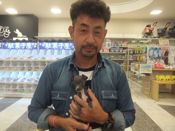 写真