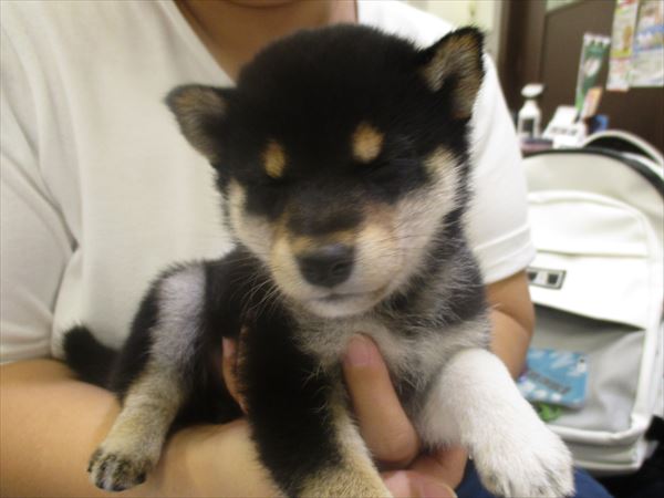 写真