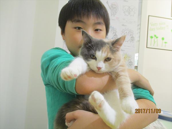写真