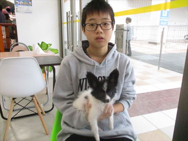 写真