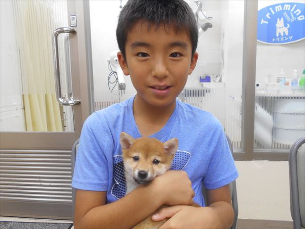 写真