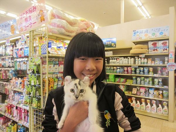 写真