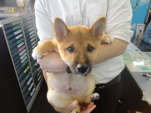 写真
