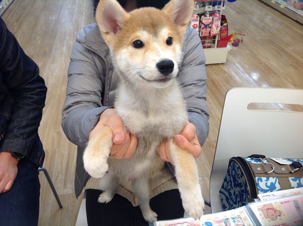 写真