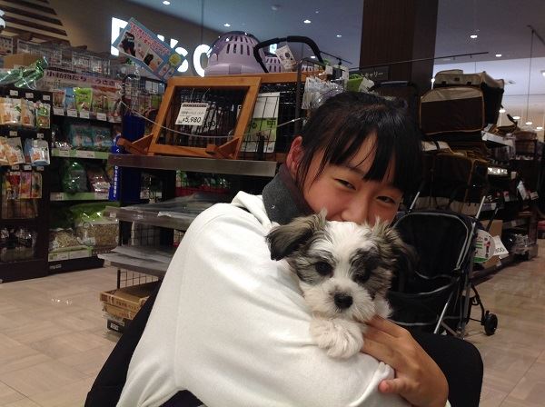 写真
