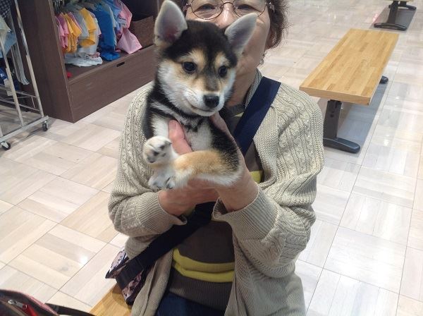 写真