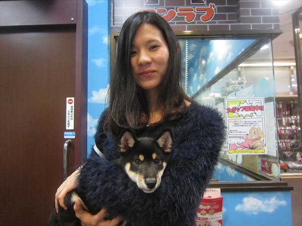 写真