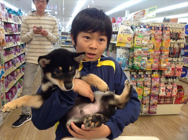 写真