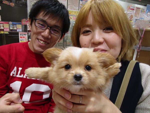 写真