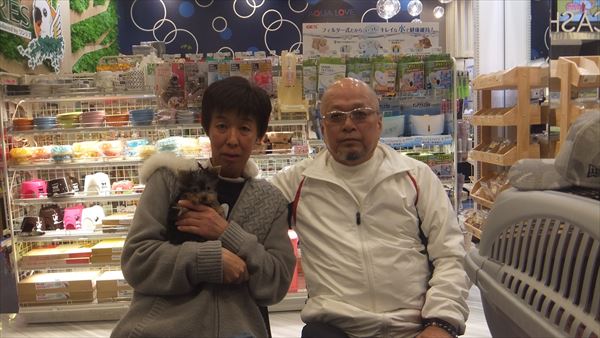 写真