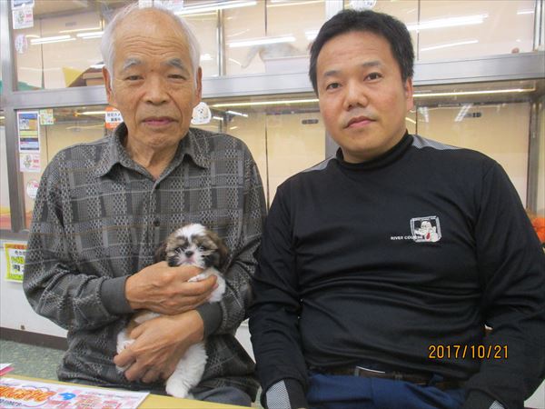 写真