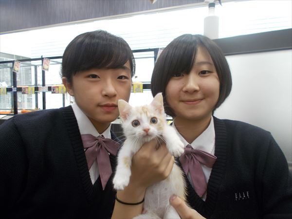 写真