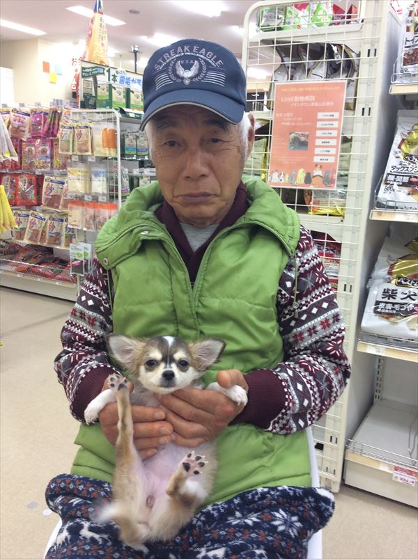 写真
