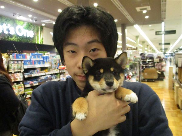 写真