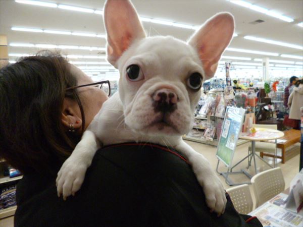 写真
