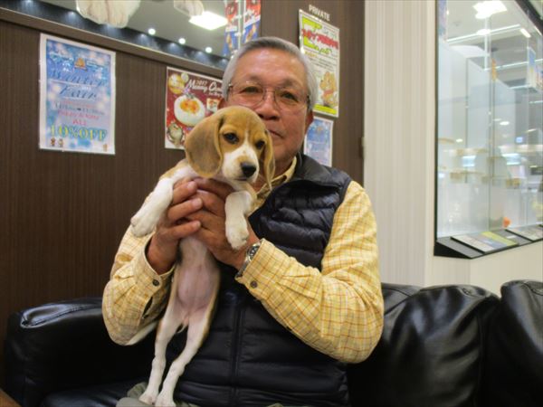 写真