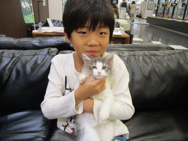 写真