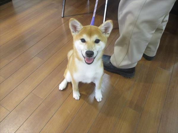 写真