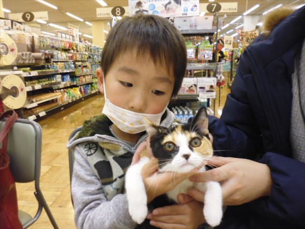 写真