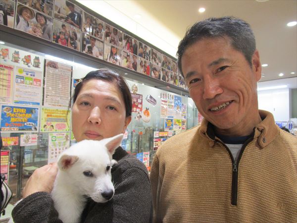 写真