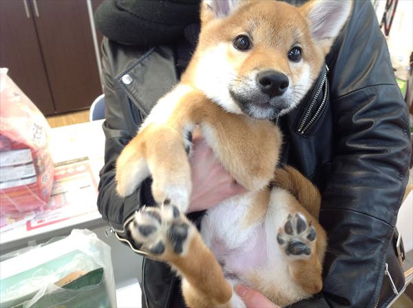写真