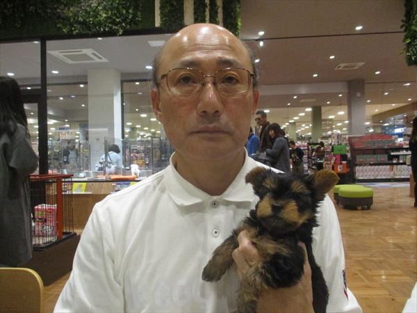 写真