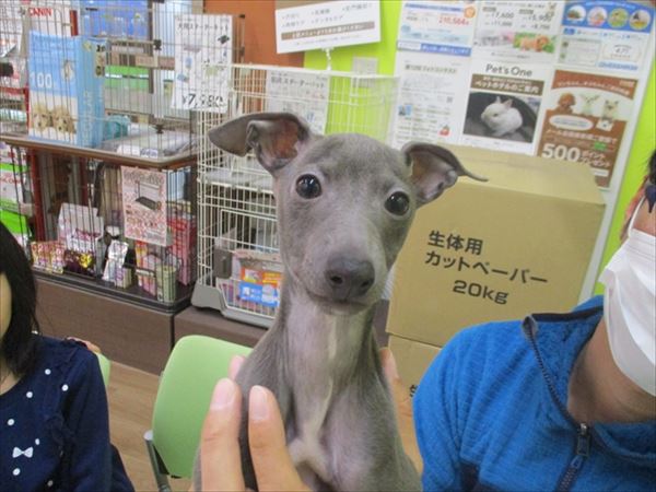 写真