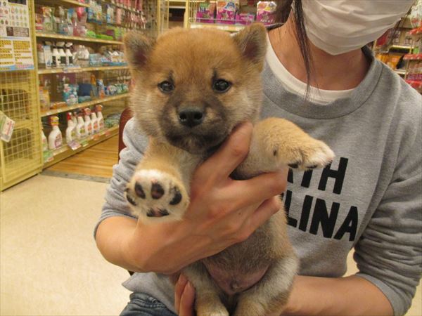 写真