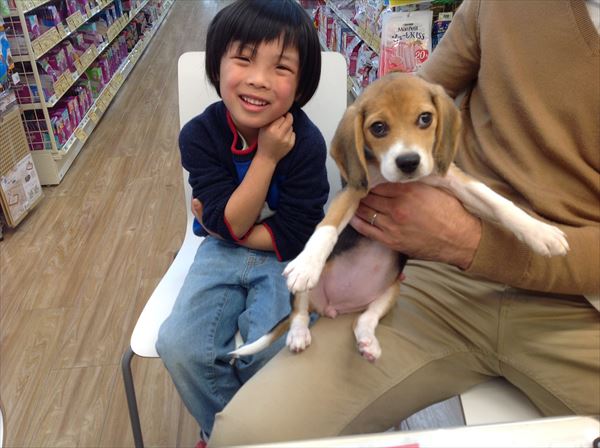 写真