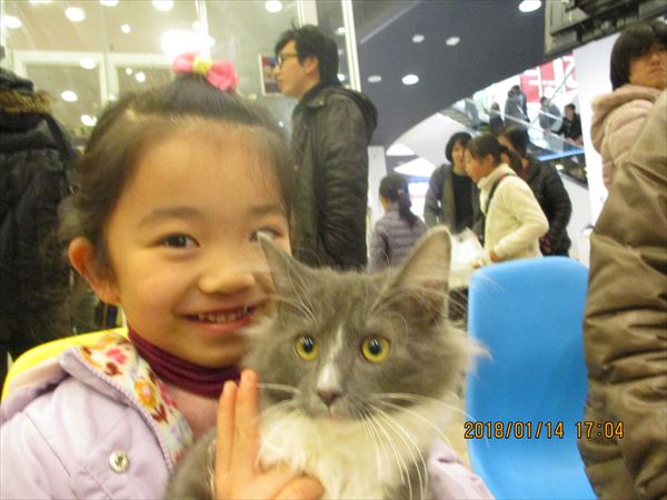 写真