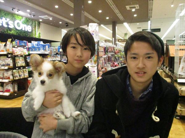 写真