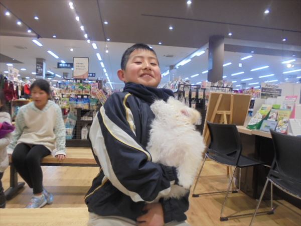 写真