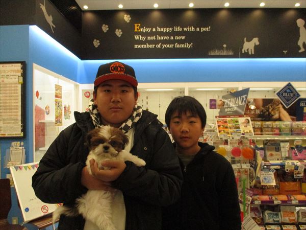 写真