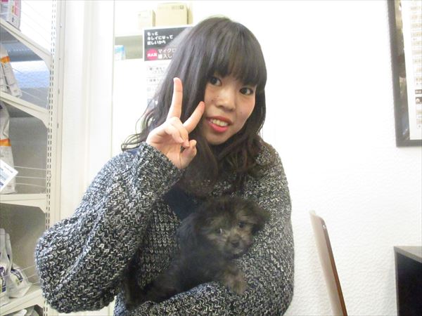 写真