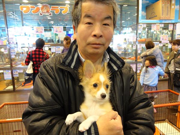 写真