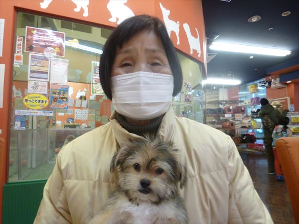 写真