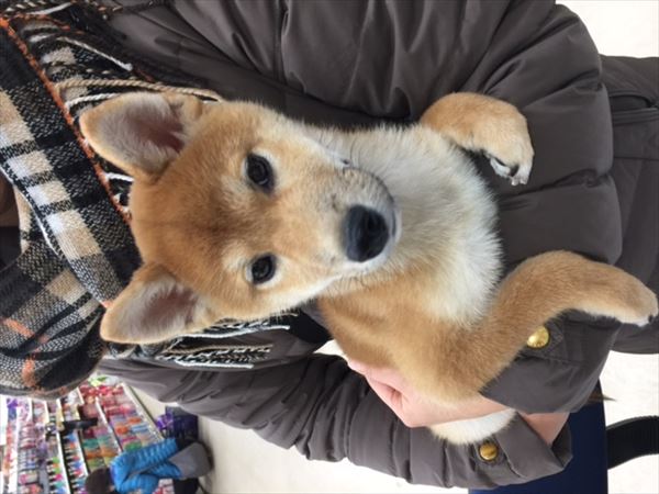 写真
